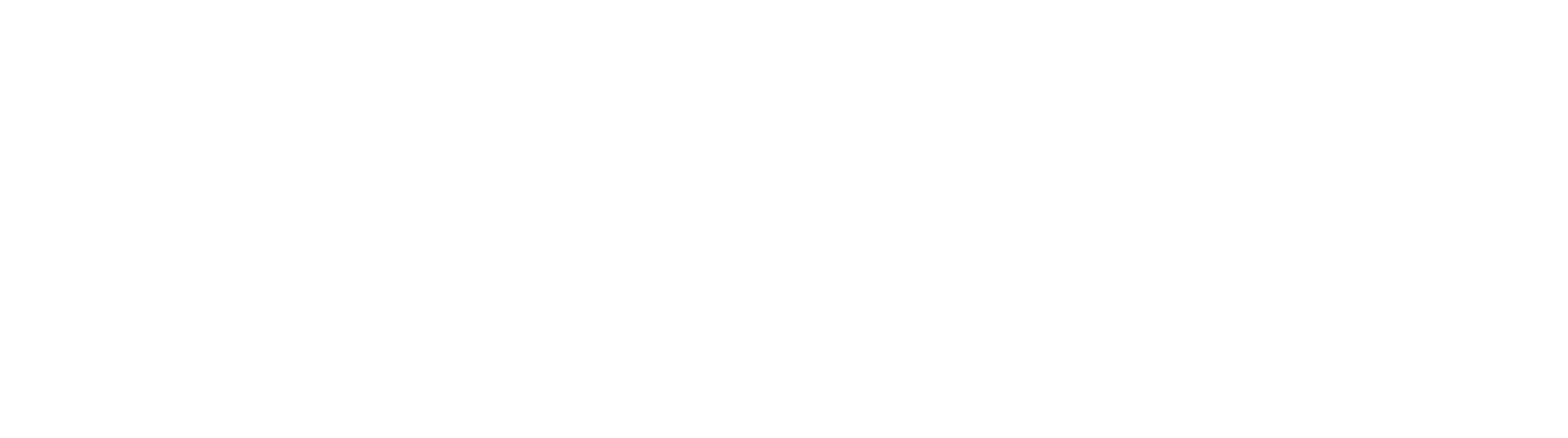 The DeMatteis Organization